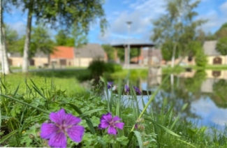 Eisweiher mit Pavillon im Sommer